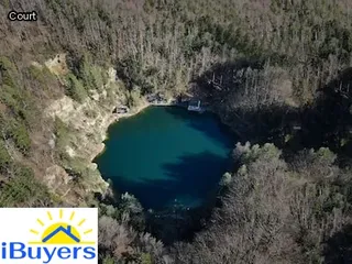 Estate agent